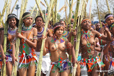 Under umhlanga-festivalen danser jomfruer fra hele Swaziland forann kongen.